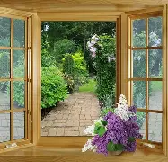 开云官网-窗口期体能课后，上海海港手感冰凉备战德甲，质疑声仍在，轮换策略成焦点(fm2024可以成为青训的高潜)